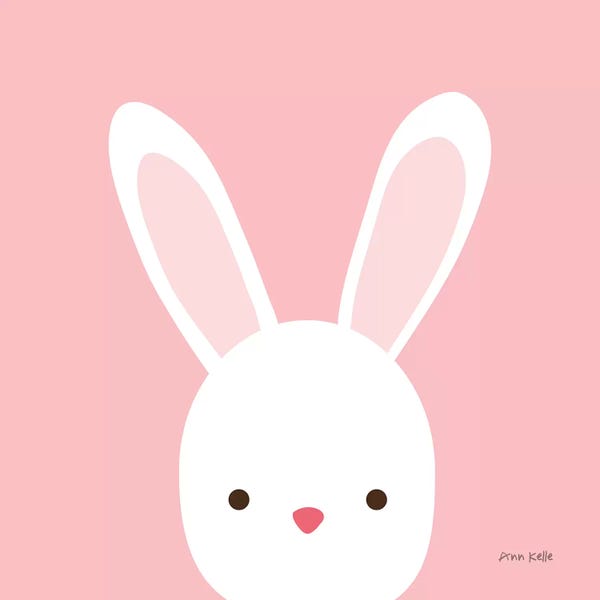 Cuddly Bunny