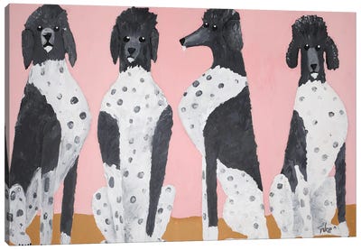 King Poodles Canvas Art Print - Nynke Kuipers