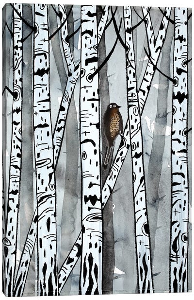 Nightbird Canvas Art Print - Aspen and Birch Trees