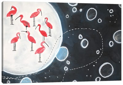 Nightwalk In The Zoo Canvas Art Print - Nynke Kuipers