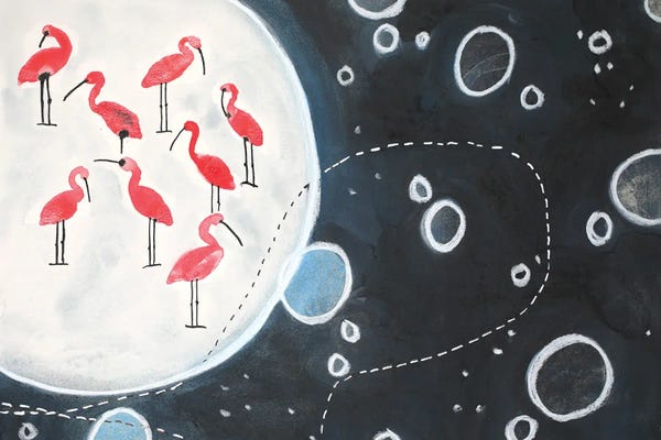 Nynke Kuipers: Nightwalk In The Zoo by Nynke Kuipers