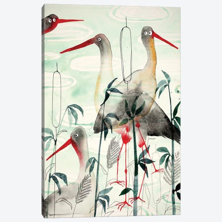 Storks Canvas Print #NKP22} by Nynke Kuipers Canvas Print