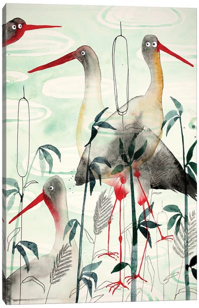 Storks Canvas Art Print - Stork Art
