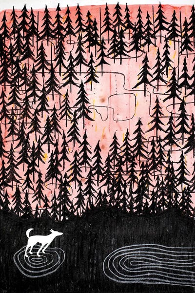 Nynke Kuipers: A Walk In The Woods by Nynke Kuipers