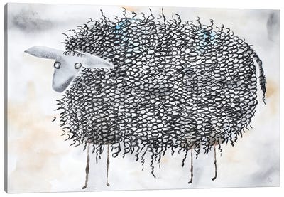 The Curly Sheep Canvas Art Print - Sheep Art