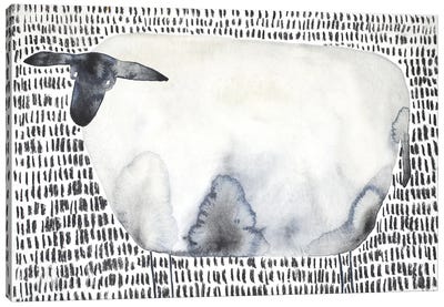 The Sheep Canvas Art Print - Nynke Kuipers