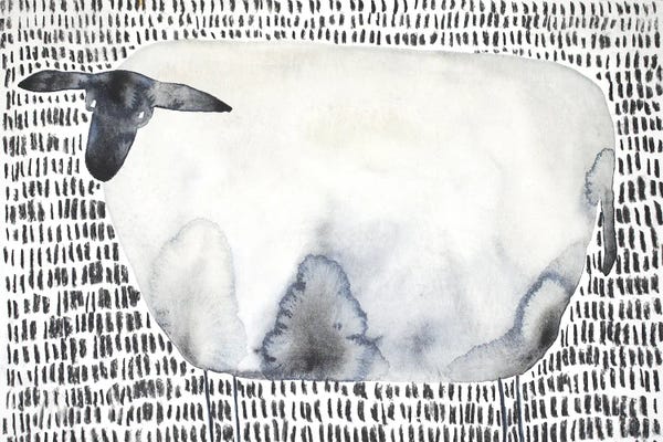 Nynke Kuipers: The Sheep by Nynke Kuipers