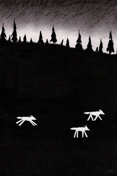Nynke Kuipers: The Wolves At Night by Nynke Kuipers