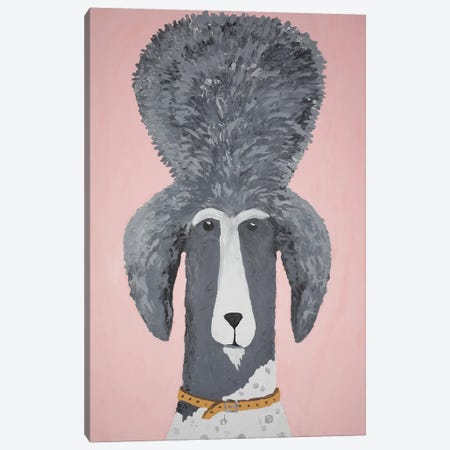 King Poodle Canvas Print #NKP9} by Nynke Kuipers Canvas Artwork