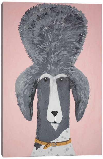 King Poodle Canvas Art Print - Nynke Kuipers