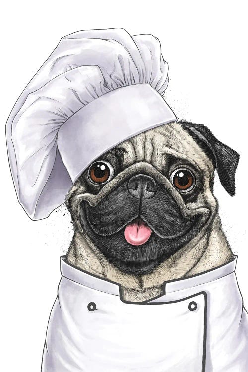 Pug Chef