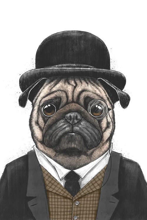 Sir Pug