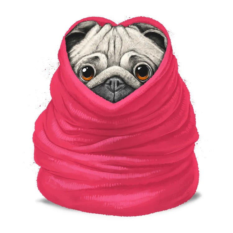 Pug In A Warm Blanket