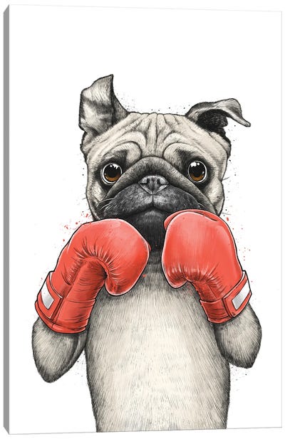 Pug Boxer Canvas Art Print - Pug Art