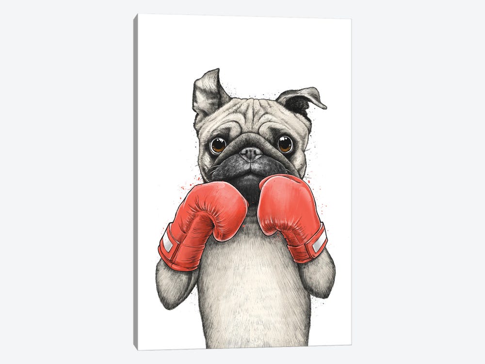 Pug Boxer by Nikita Korenkov 1-piece Canvas Wall Art