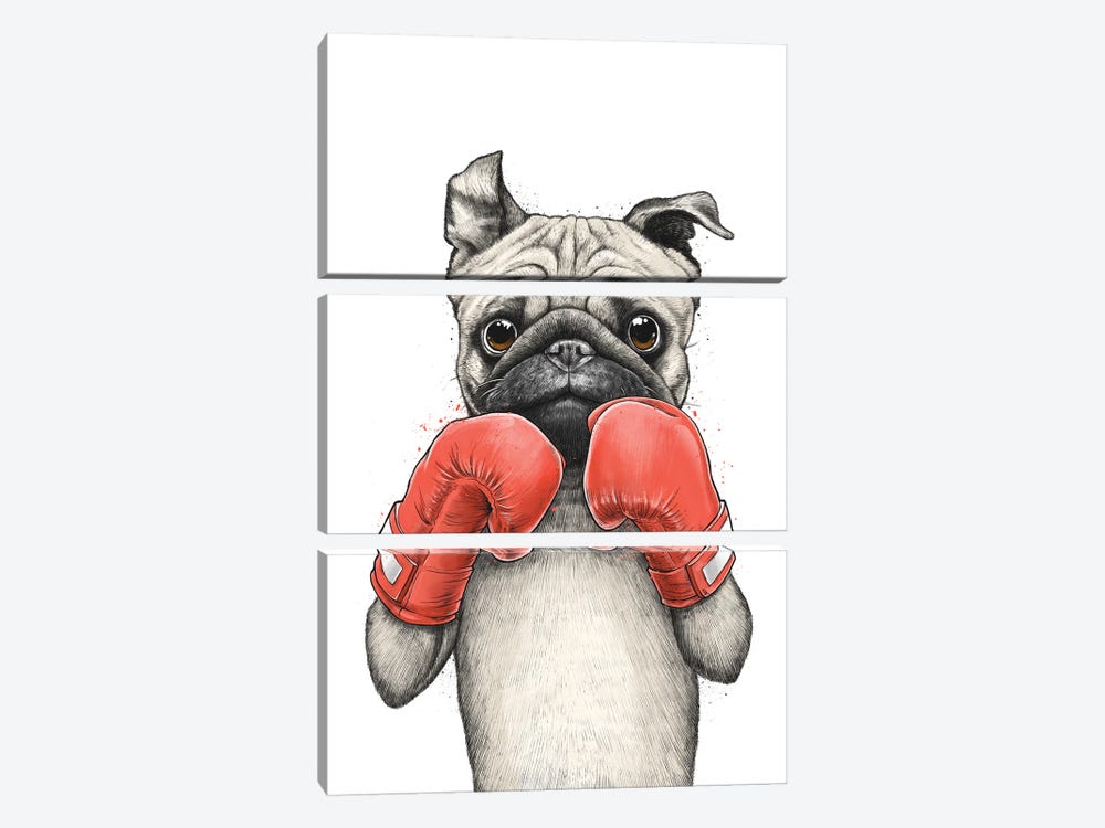 Pug Boxer by Nikita Korenkov 3-piece Canvas Wall Art