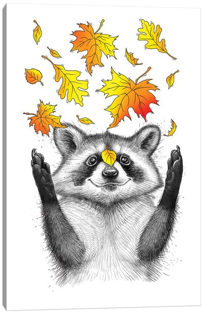 Autumn Raccoon Canvas Art Print - Raccoon Art