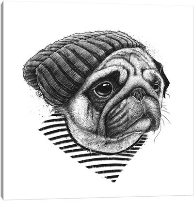 Pug Sailor Canvas Art Print - Pug Art