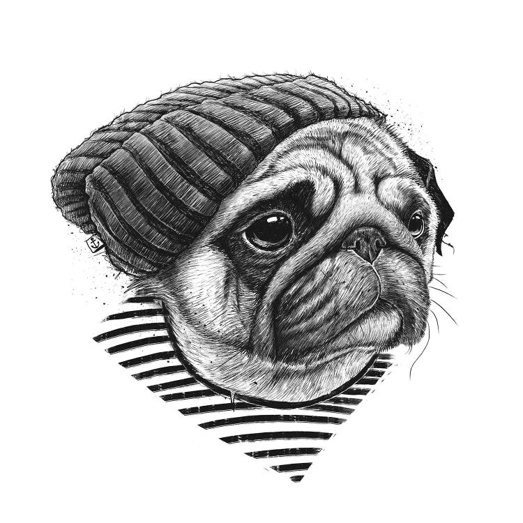 Pug Sailor