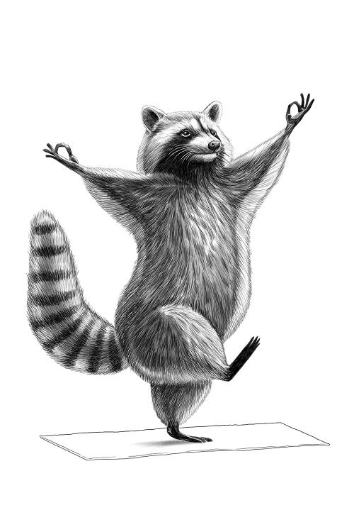Raccoon Doing Yoga by Nikita Korenkov wall art