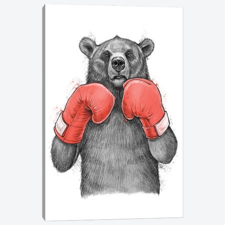 Bear Boxer Canvas Print #NKV12} by Nikita Korenkov Canvas Artwork