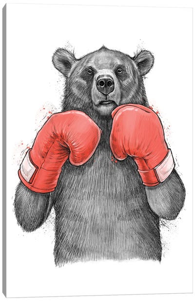 Bear Boxer Canvas Art Print - Nikita Korenkov
