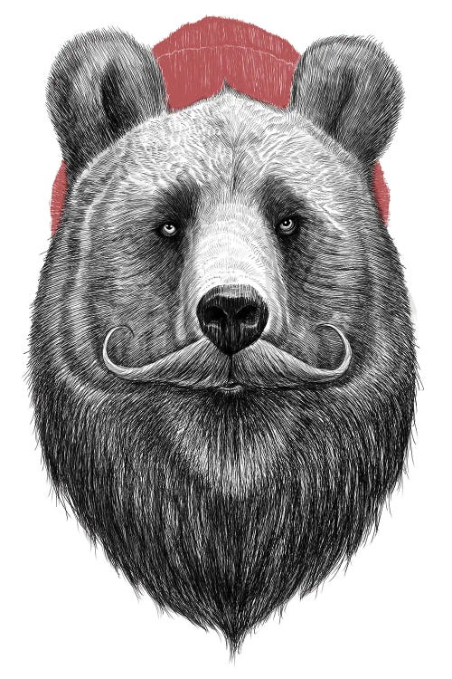 Bearded Bear