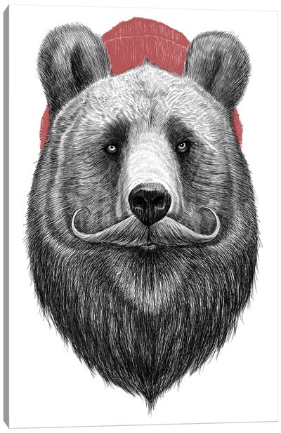Bearded Bear Canvas Art Print - Nikita Korenkov