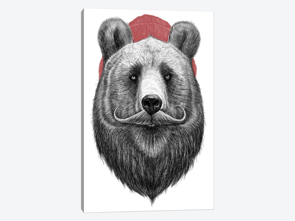 Bearded Bear by Nikita Korenkov 1-piece Canvas Art Print