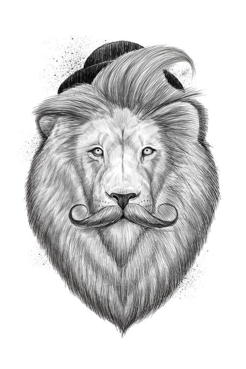 Bearded Lion