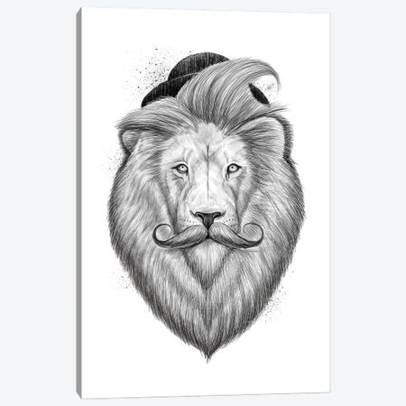 Bearded Lion Canvas Print #NKV16} by Nikita Korenkov Canvas Art Print