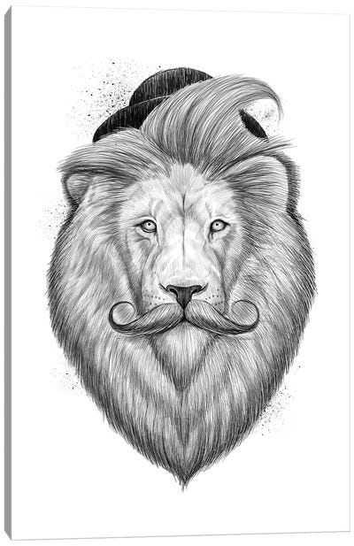 Bearded Lion Canvas Art Print
