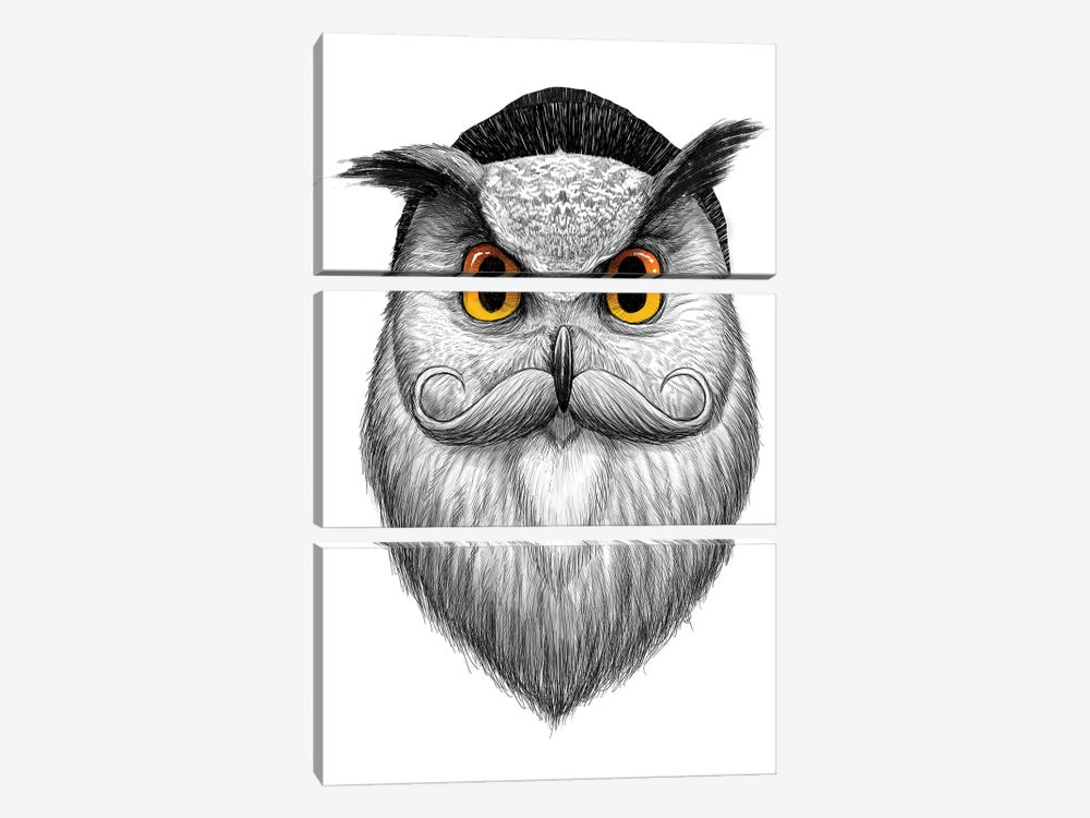 Bearded Owl by Nikita Korenkov 3-piece Canvas Art Print