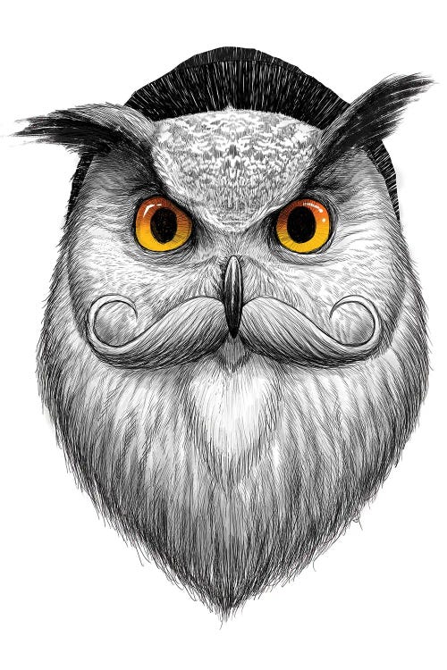 Bearded Owl