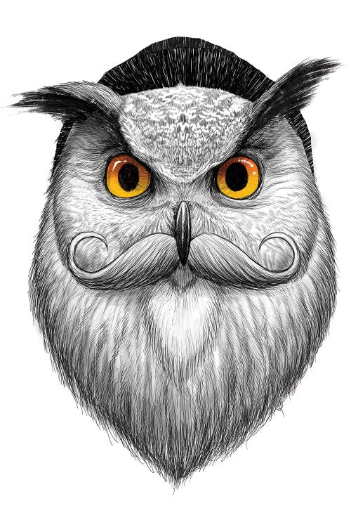 Bearded Owl by Nikita Korenkov wall art