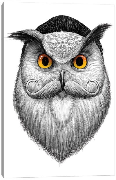Bearded Owl Canvas Art Print - Nikita Korenkov