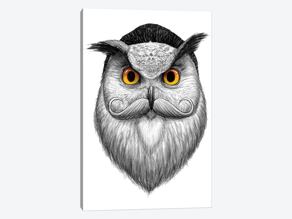 Bearded Owl by Nikita Korenkov 1-piece Canvas Print