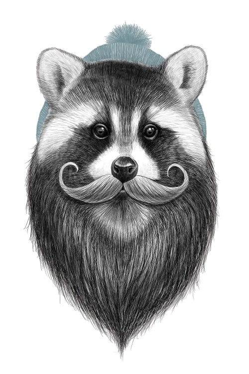 Bearded Raccoon