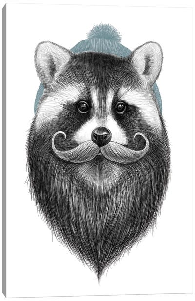 Bearded Raccoon Canvas Art Print - Nikita Korenkov