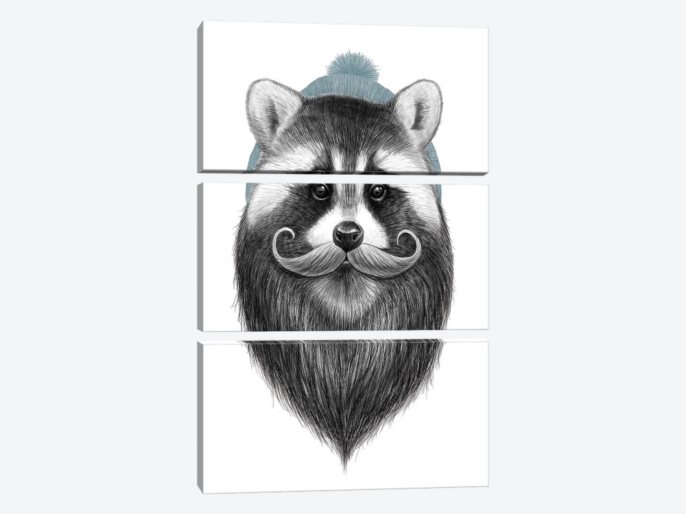 Bearded Raccoon by Nikita Korenkov 3-piece Canvas Art