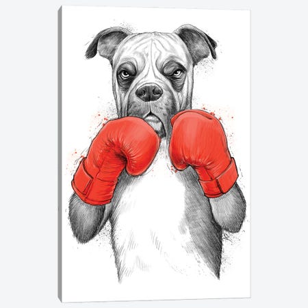 Boxer Canvas Print #NKV1} by Nikita Korenkov Canvas Art