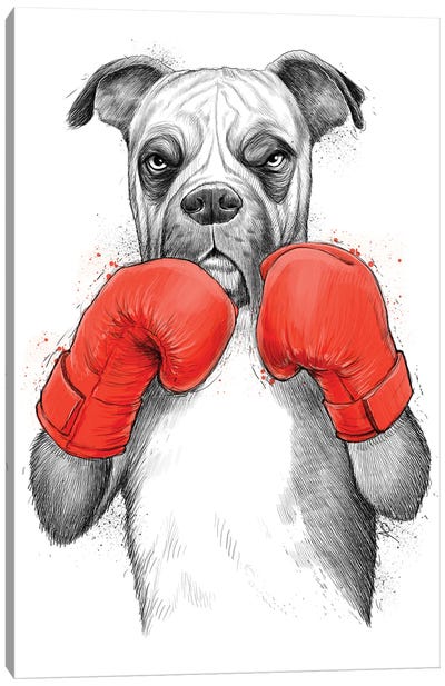 Boxer Canvas Art Print - Nikita Korenkov