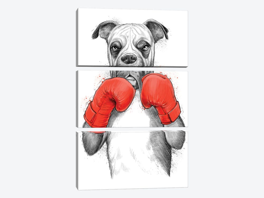 Boxer by Nikita Korenkov 3-piece Canvas Wall Art