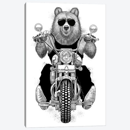 Carefree Bear Canvas Print #NKV20} by Nikita Korenkov Canvas Art Print