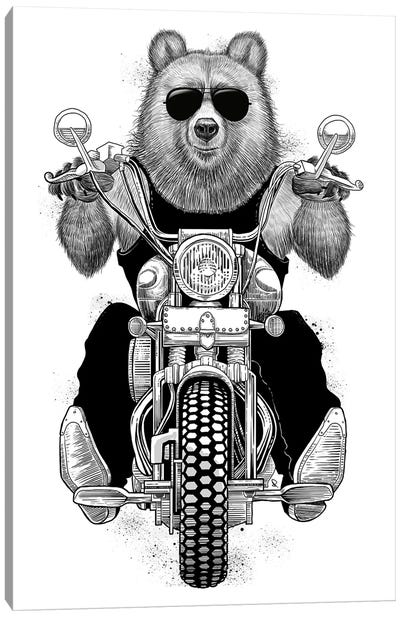 Carefree Bear Canvas Art Print - Nikita Korenkov