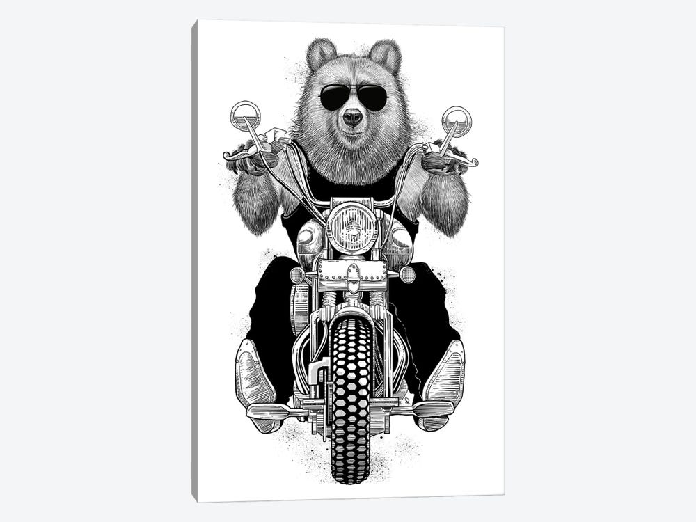 Carefree Bear by Nikita Korenkov 1-piece Canvas Print