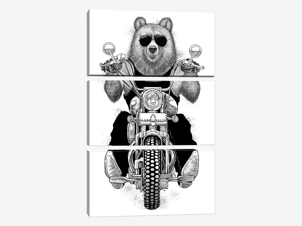 Carefree Bear by Nikita Korenkov 3-piece Canvas Print