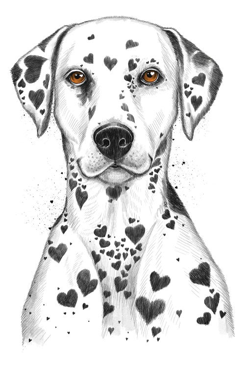 Dalmatian