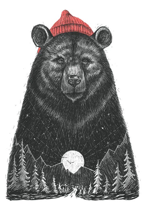 Forest Bear