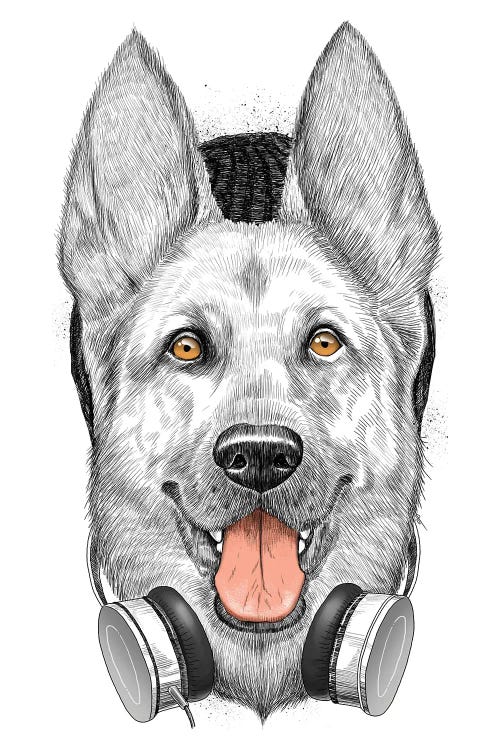 German Shepherd Dog